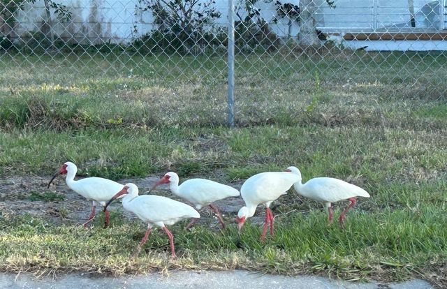 123 POINSETTIA CIRCLE NE, Port Charlotte, FL 33952