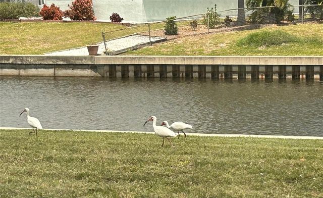 123 POINSETTIA CIRCLE NE, Port Charlotte, FL 33952