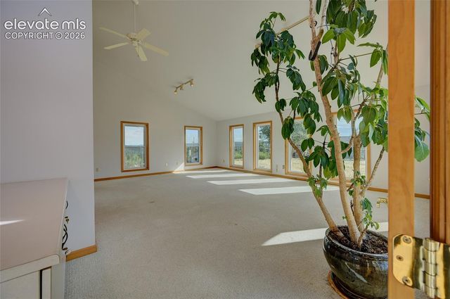 32 Dartmouth Place, Woodland Park, CO 80863
