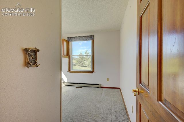 32 Dartmouth Place, Woodland Park, CO 80863
