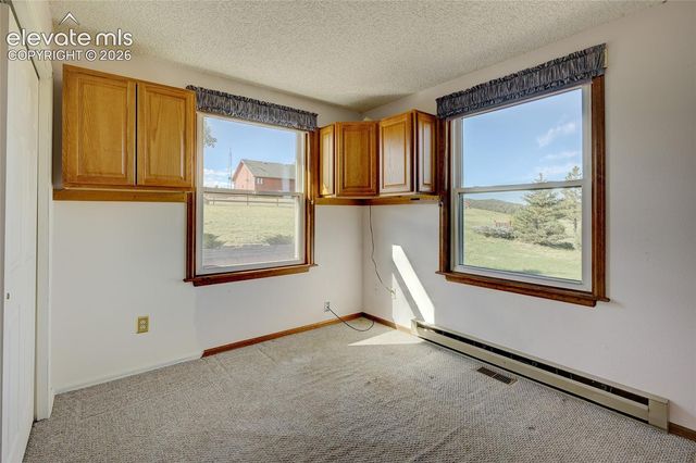 32 Dartmouth Place, Woodland Park, CO 80863