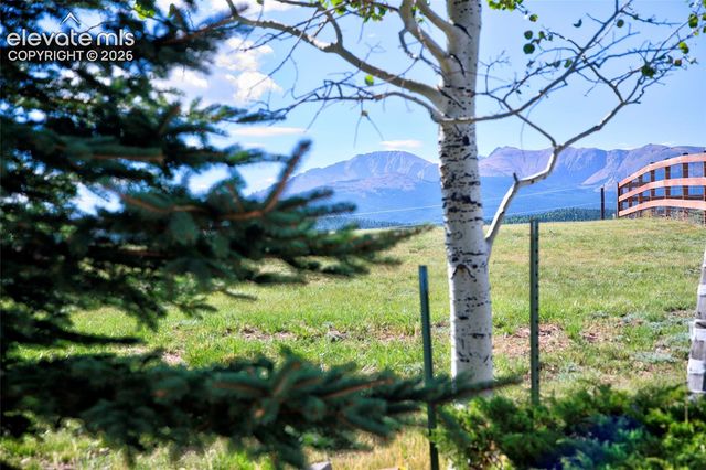 32 Dartmouth Place, Woodland Park, CO 80863
