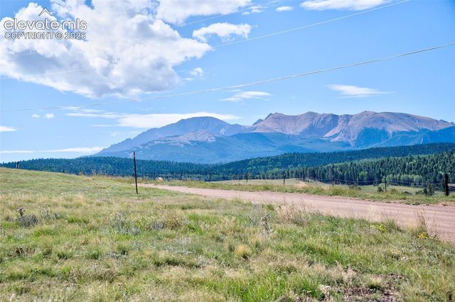 32 Dartmouth Place, Woodland Park, CO 80863