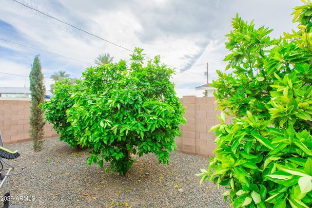 5541 E CHEERY LYNN Road, Phoenix, AZ 85018