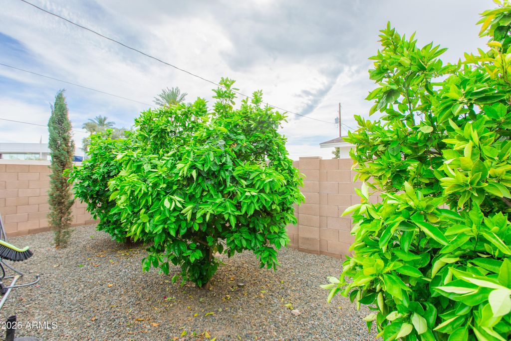 Image 69 of property listing at 5541 E CHEERY LYNN Road, Phoenix, AZ 85018