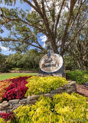 3099 N Barton Creek Circle, Lecanto, FL 34461