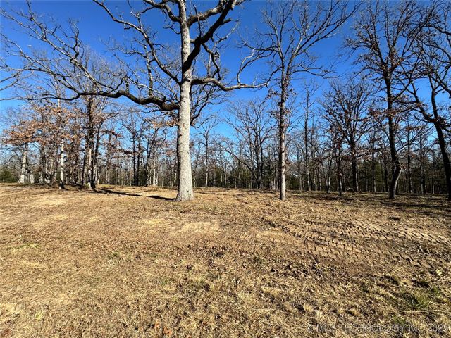 Palomino Lane, Kingston, OK 73439