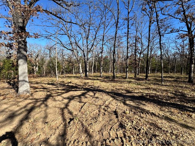 Palomino Lane, Kingston, OK 73439