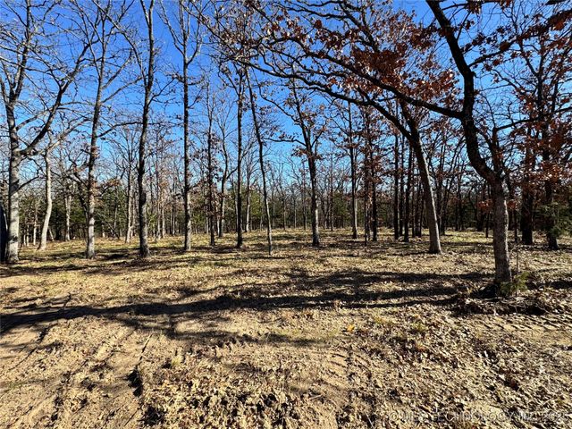 Palomino Lane, Kingston, OK 73439