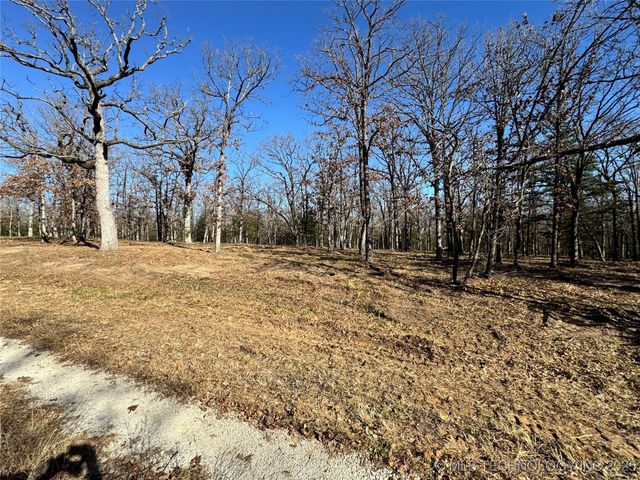 Palomino Lane, Kingston, OK 73439