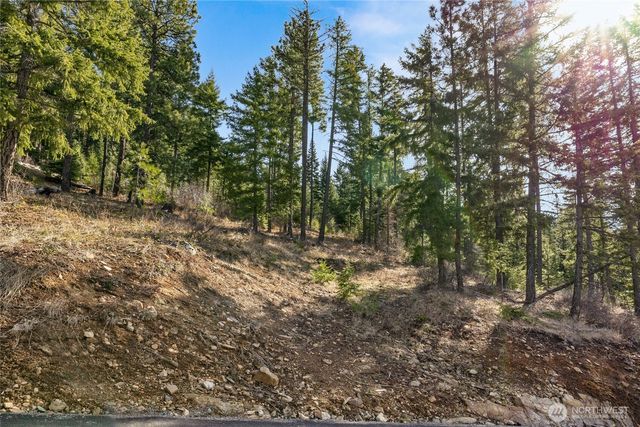 0 Lot 9 Night Sky Drive, Ronald, WA 98940