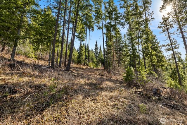 0 Lot 9 Night Sky Drive, Ronald, WA 98940