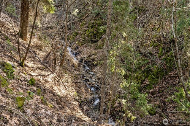 0 Lot 9 Night Sky Drive, Ronald, WA 98940