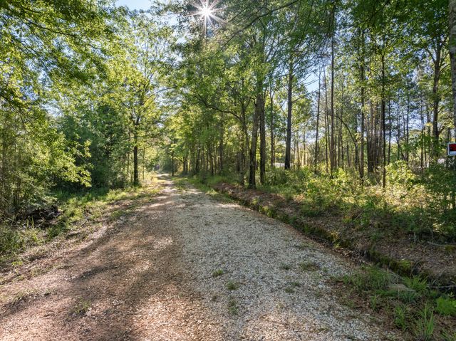 503 Courtney, Purvis, MS 39475