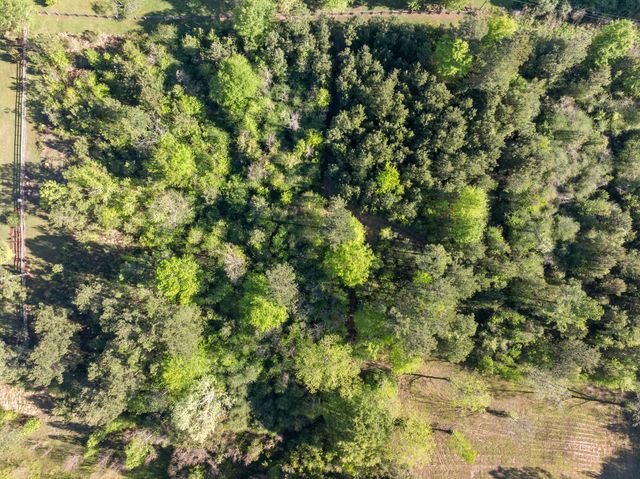 503 Courtney, Purvis, MS 39475