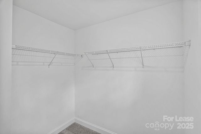 1306 Moretz Avenue, Charlotte, NC 28206