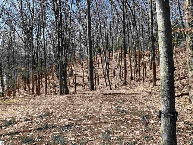 10057 E Leeward Shores Drive, Traverse City, MI 49684