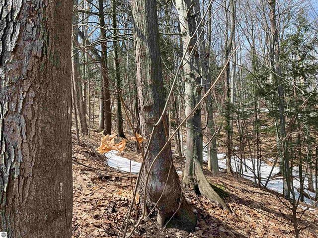 10057 E Leeward Shores Drive, Traverse City, MI 49684