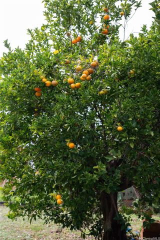 1310 Hoowali Street, Pearl City, HI 96782