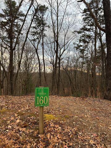 0 Tracks Hollow, Murphy, NC 28906