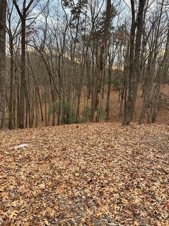 0 Tracks Hollow, Murphy, NC 28906