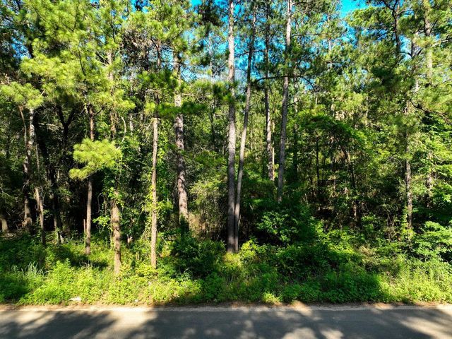 0 Pinebrook Drive, Plantersville, TX 77363