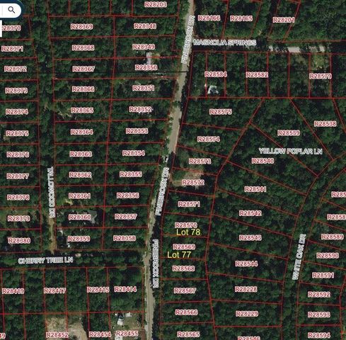0 Pinebrook Drive, Plantersville, TX 77363