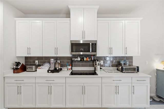 10188 AGAVE COURT, Land O Lakes, FL 34638