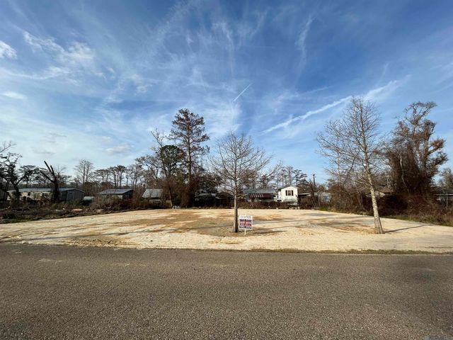 22239 Chinquapin Ave, Maurepas, LA 70449