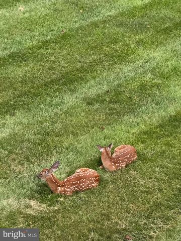 2815 DRY CREEK CT, Huntingtown, MD 20639