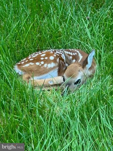 2815 DRY CREEK CT, Huntingtown, MD 20639