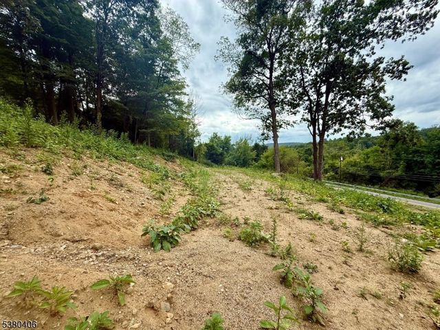 113 Munsonhurst Rd, Franklin Boro, NJ 07416