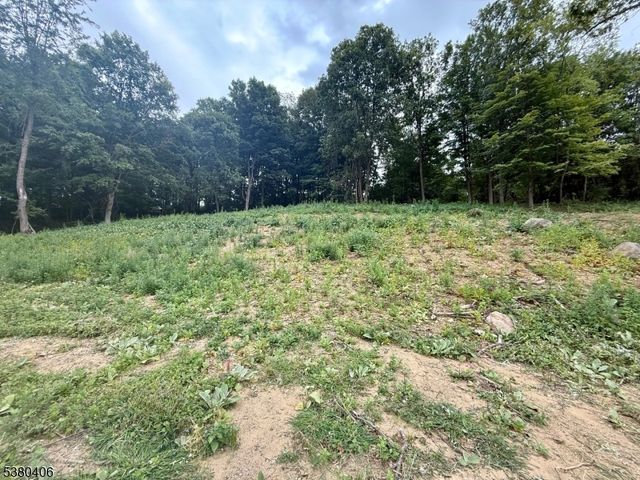 113 Munsonhurst Rd, Franklin Boro, NJ 07416