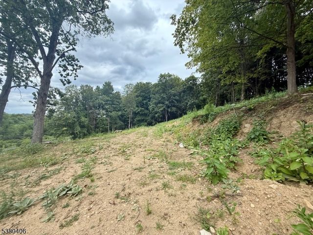 113 Munsonhurst Rd, Franklin Boro, NJ 07416