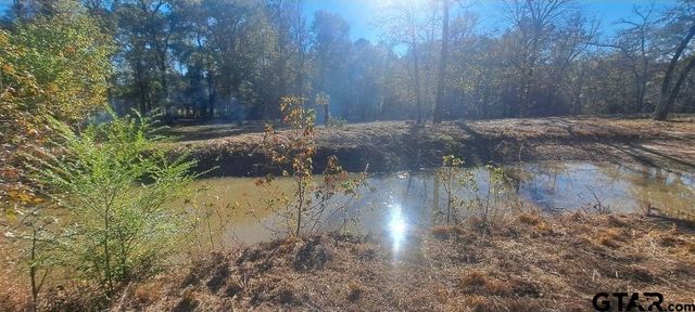 TBD CR 4147, Lindale, TX 75771
