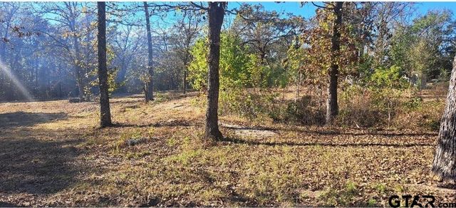 TBD CR 4147, Lindale, TX 75771