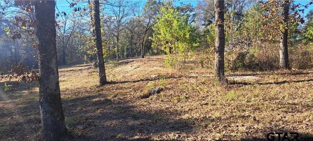 TBD CR 4147, Lindale, TX 75771