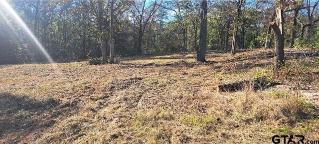 TBD CR 4147, Lindale, TX 75771