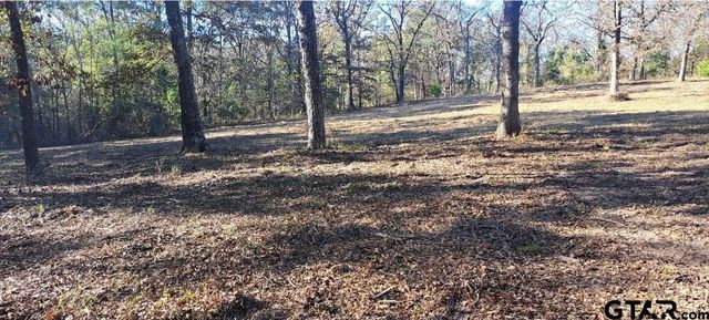 TBD CR 4147, Lindale, TX 75771