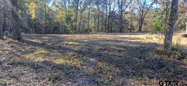 TBD CR 4147, Lindale, TX 75771