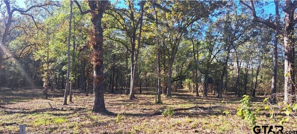 TBD CR 4147, Lindale, TX 75771
