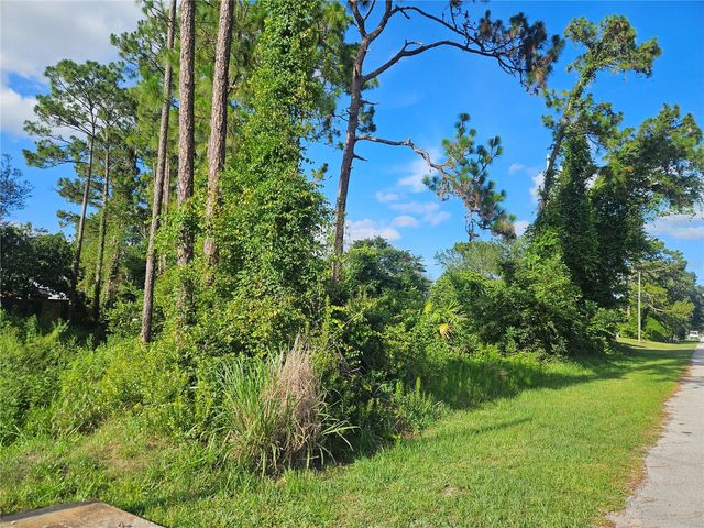 2318 WHITEHORSE STREET, Deltona, FL 32738