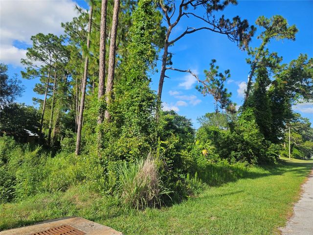 2318 WHITEHORSE STREET, Deltona, FL 32738
