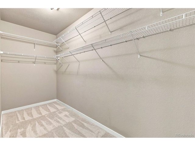 8149 Misty Moon Dr, Colorado Springs, CO 80924