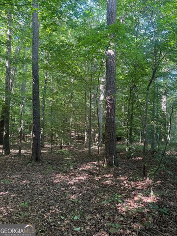 435 N 27 Highway, Roopville, GA 30170
