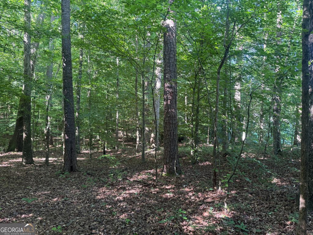 435 N 27 Highway, Roopville, GA 30170