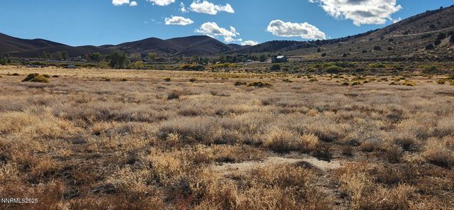 0 Long View, Smith Valley, NV 89444