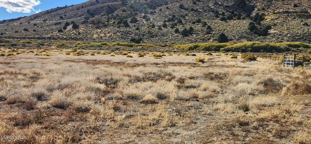 0 Long View, Smith Valley, NV 89444