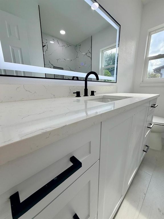 Image 37 of property listing at 3117 W LEROY STREET, Tampa, FL 33607