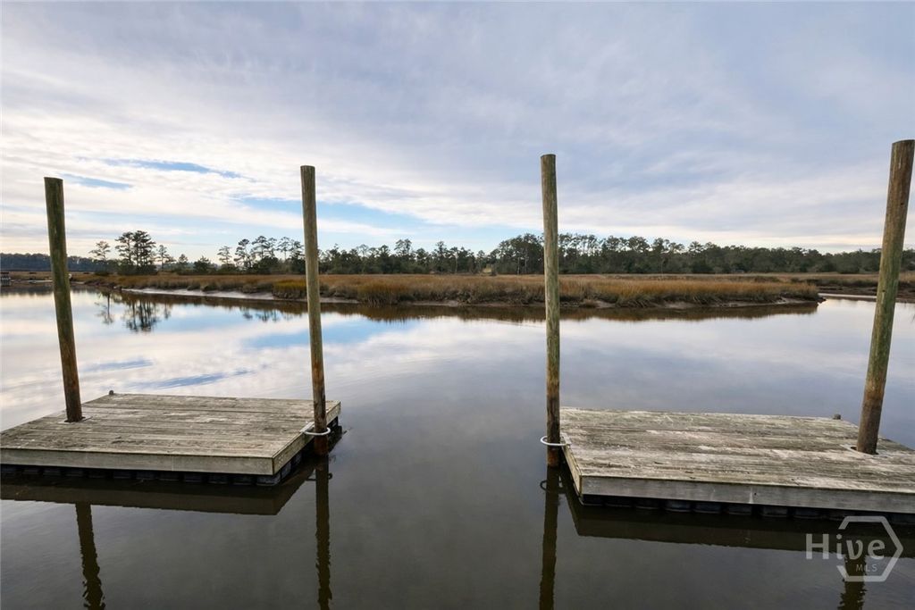 Image 31 of property listing at Tract 4 S Newport Drive NE, Townsend, GA 31331